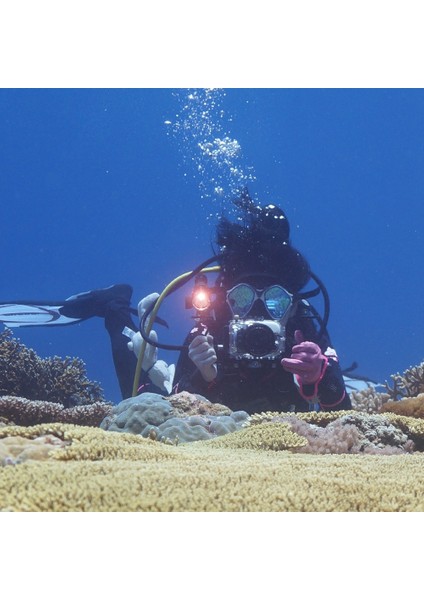 Sualtı Kamerası Için Çift Saplı Alüminyum Alaşımlı Tepsi Sabitleyici (Yurt Dışından) indirimleri