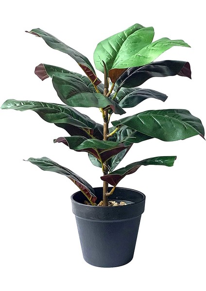 15 Inç Uzun Keman Yaprağı Incir Ağacı Yapay Bitkiler Sahte Bonsai (Yurt Dışından)