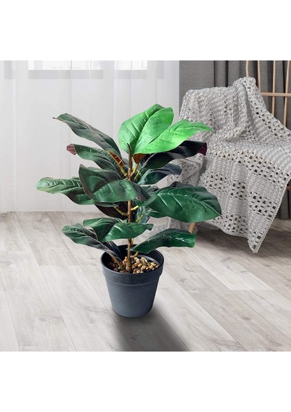 15 Inç Uzun Keman Yaprağı Incir Ağacı Yapay Bitkiler Sahte Bonsai (Yurt Dışından)