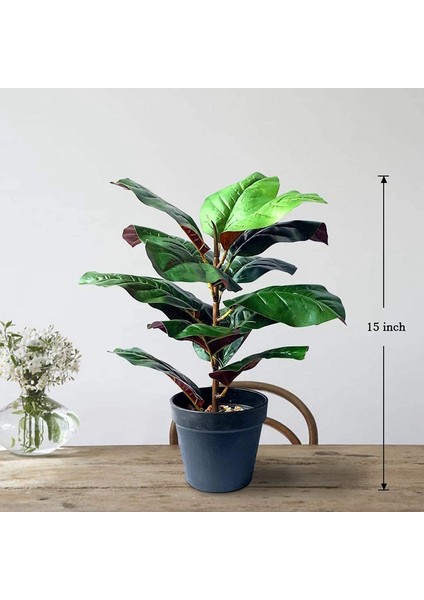 15 Inç Uzun Keman Yaprağı Incir Ağacı Yapay Bitkiler Sahte Bonsai (Yurt Dışından)
