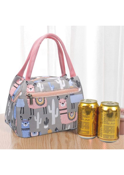 Taşınabilir Yalıtımlı Öğle Yemeği Çantası Su Geçirmez Kalınlık Termal Piknik Okul Çalışma Seyahat Multiuse Öğle Yemeği Çantası Çok Renkli Lunchbox (Yurt Dışından)