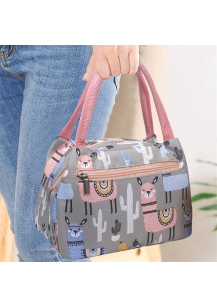 Taşınabilir Yalıtımlı Öğle Yemeği Çantası Su Geçirmez Kalınlık Termal Piknik Okul Çalışma Seyahat Multiuse Öğle Yemeği Çantası Çok Renkli Lunchbox (Yurt Dışından)