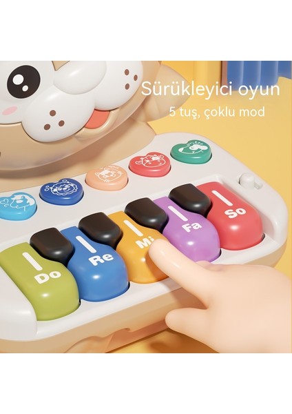 Çocuk Aydınlanma Erken Eğitim Elektronik Piyano Sevimli Kaplan Haddeleme Müzik Aydınlık Müzik Aleti Piyano Bebek Eğitici Müzik Oyuncak (Yurt Dışından) fiyatları