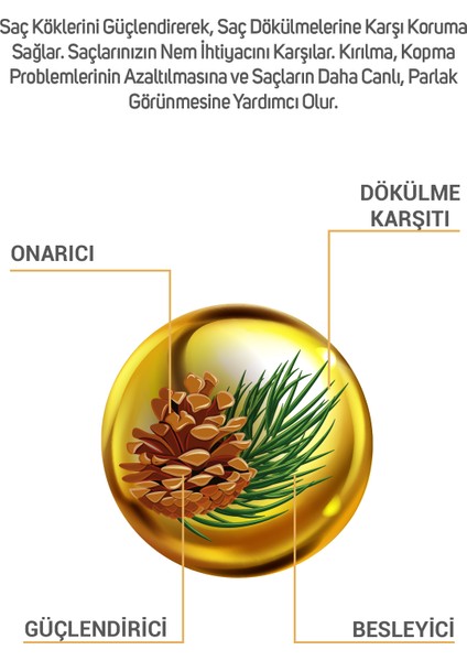 Çam Terebentin ve Tatlı Badem Özlü B Vitamin Şampuan 700 ml fiyatları