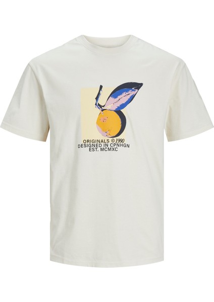 Jortampa Aop Branding Tee Erkek T-Shirt