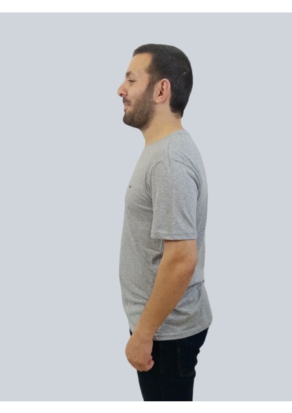 Erkek Sport Sıfır Yaka Gri Tişört fiyatları