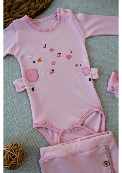 3-6 6-9 9-12 Ay Şarkıcı Kuşlar Nakışlı Bandanalı Uzun Kollu Zıbınlı 3lü Kız Bebek Takımı fiyatları