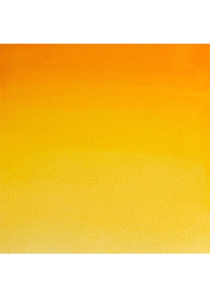 Professional Sulu Boya 5 ml Cadmium Yellow Deep 111 S.4 fiyatları