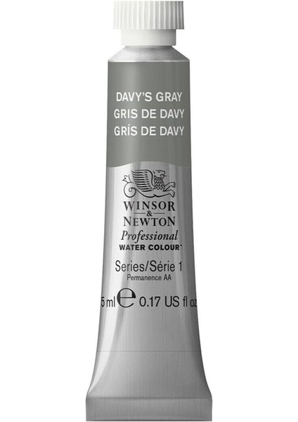 Professional Sulu Boya 5 ml Davy’s Gray 217 S.1