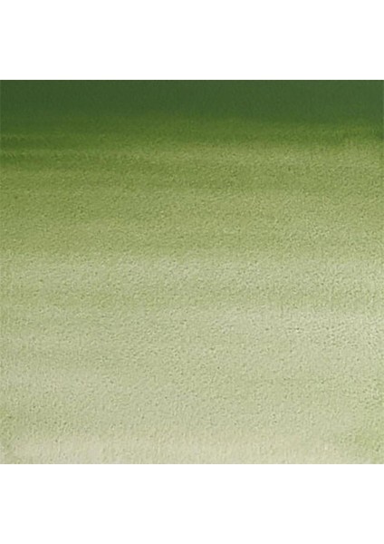 Professional Sulu Boya 5 ml Oxide Of Chromium 459 S.3 fiyatları