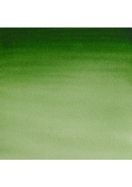 Sulu Boya 8 ml Hooker’s Green Light 314 fiyatları