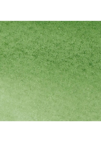 Promarker Watercolour Hooker's Green 311 fiyatları