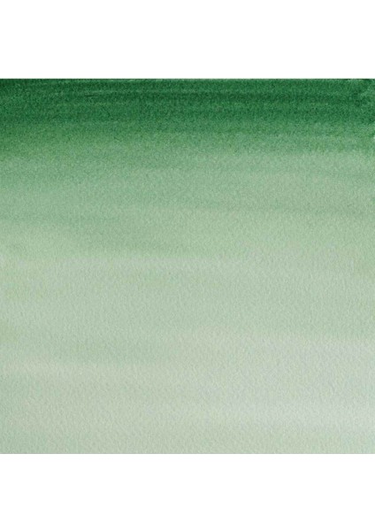 Sulu Boya 8 ml Hooker's Green Dark 312 fiyatları