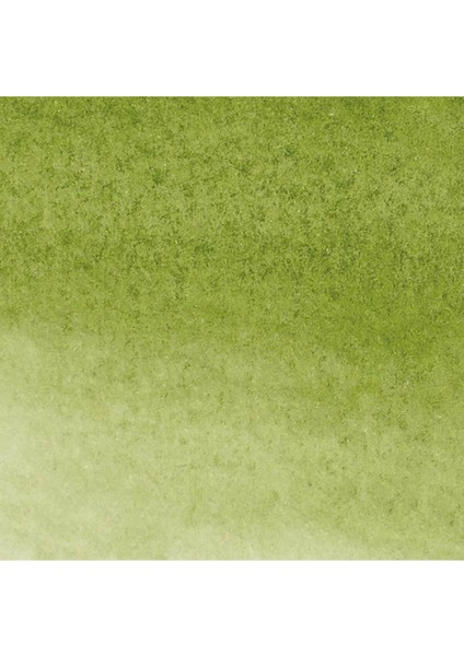 Promarker Watercolour Sap Green 599 fiyatları