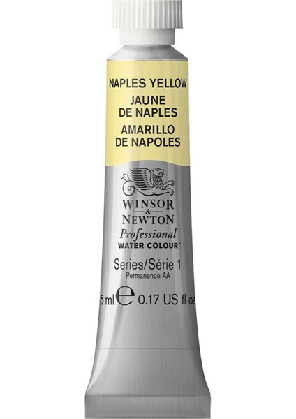 Professional Sulu Boya 5 ml Naples Yellow 422 S.1