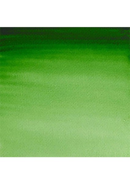 Professional Sulu Boya 5 ml Hooker’s Green 311 S.1 fiyatları