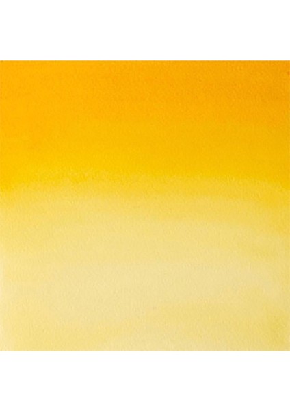 Professional Sulu Boya 5 ml Indian Yellow 319 S.1 fiyatları