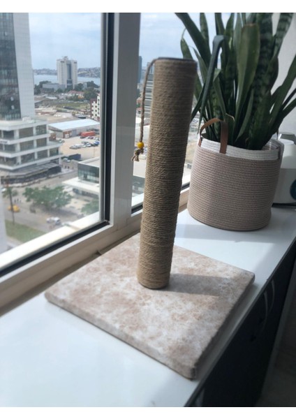 Kedi Tırmalama Tahtası