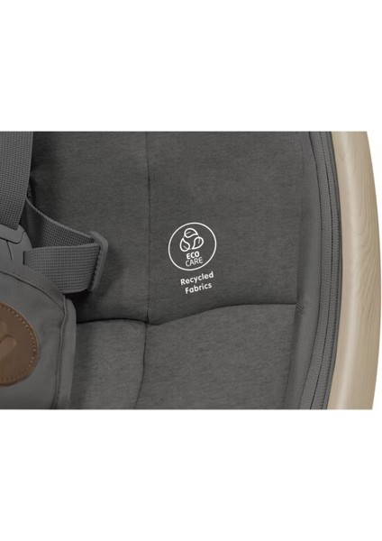 Cassia Elektrikli Otomatik Sallanan Ana Kucağı Beyond Graphite Eco fiyatları