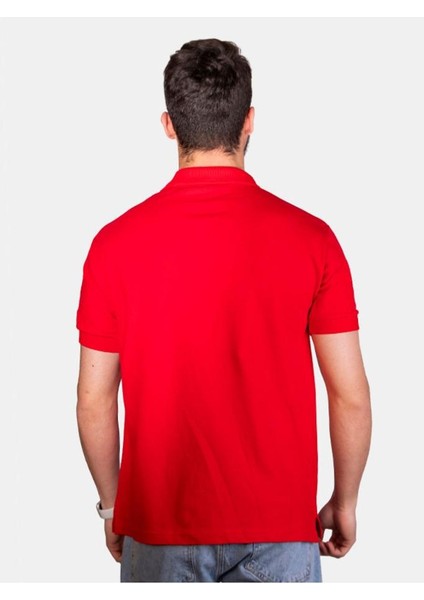 Unisex Standart Kesim Polo Yaka Kısa Kollu Lakost Tişört modelleri
