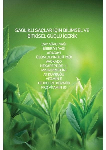 Çay Ağacı Yağı Şampuanı * Tea Tree Oil Shampoo 400ML fırsatları