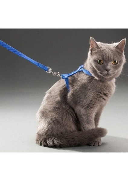 Kedi Tasması Kedi Göğüs Bel Ayarlanabilir Dayanıklı Sağlam Tasma