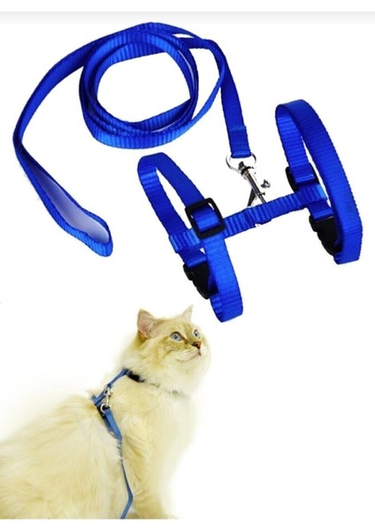 Kedi Tasması Kedi Göğüs Bel Ayarlanabilir Dayanıklı Sağlam Tasma fiyatları