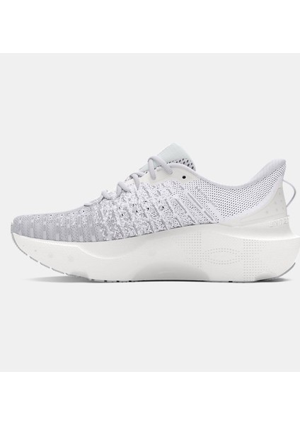 Erkek Ua Infinite Elite Koşu Ayakkabısı 3027189-101 fiyatları