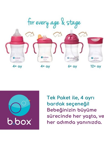4-In-1 Alıştırma Bardakları Beslenme Geçiş Seti, Avantaj Paketi, Pembe, 4 Parça, 240 ML,12AY+