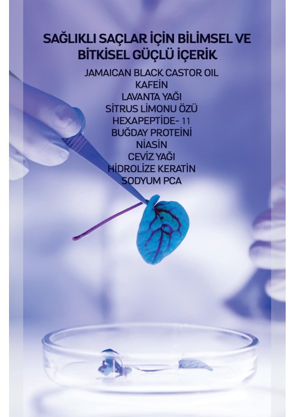 Jamaican Black Castor Oil Şampuan 400 ml fırsatları