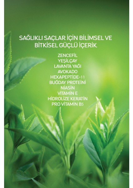 Zencefil ve Yeşil Çay Boyalı Saçlar Için Şampuan 400 ml fırsatları