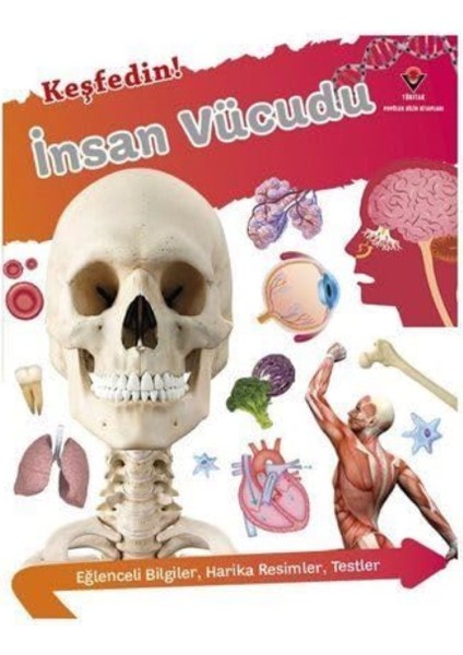 Keşfedin! İnsan Vücudu - Bipasha Choudhury