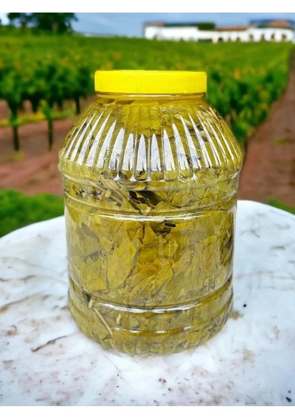 Alaşehir Salamura Yaprak Sultaniye Çekirdeksiz Üzüm Yaprağıdır Taze (Damarsız )Yeni Mahsül*** 3kg ***
