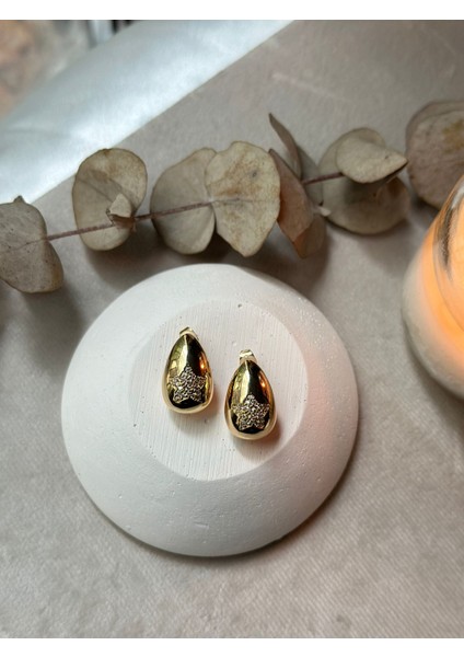 Çelik Kararmaz 916L Italyan Bottega Gold Yıldız Motif Küpe