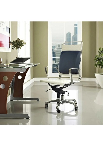 Tekno Trust 35 x 45 Sırt Yastığı Sırt Minderi Sandalye Yastığı Koltuk Sırt Minderi Ortopedik Minder Bel Minderi fiyatları