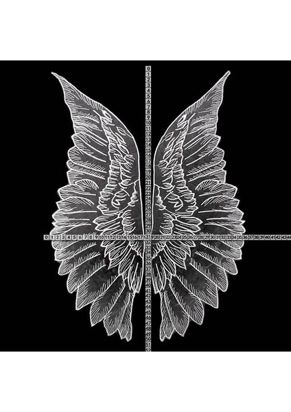 Siyah Stil 2 Adet Lüks Tül Organze Dantel Kumaş Kanatları Aplike Yamalar Nakış Dikiş Süslemeler Bezemeler Elbise Gipür Malzemeleri (Yurt Dışından) fırsatları