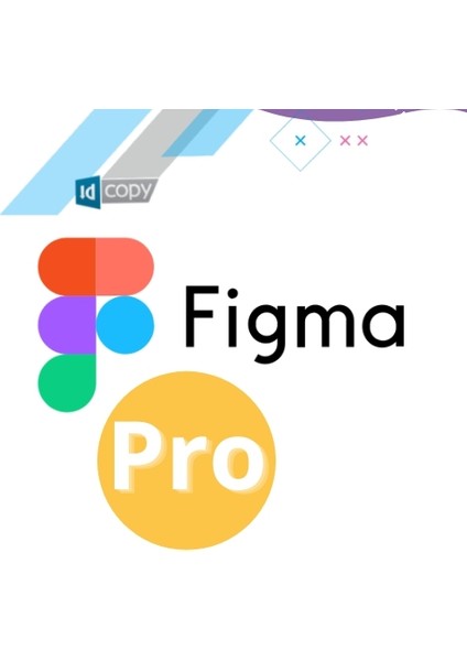 Professional - 1 Pc 2 Yıl Premium Hesap