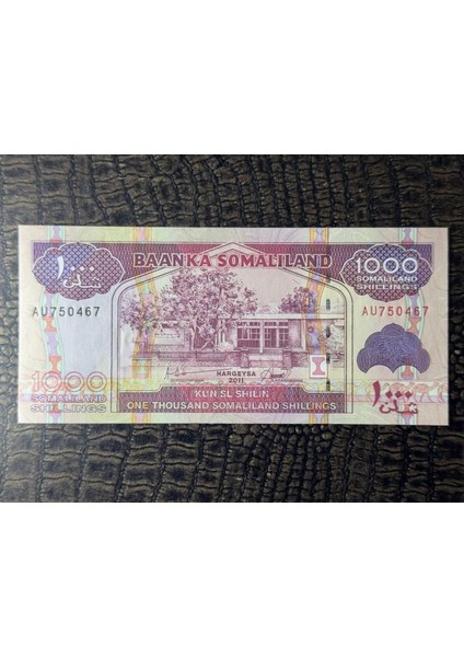 Somaliland 1000 Shillings 2011 Yılı Çil (10/10)- Çil ( Unc)