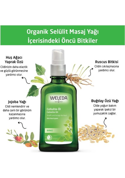 Birke Selülit Yağı 100 ml