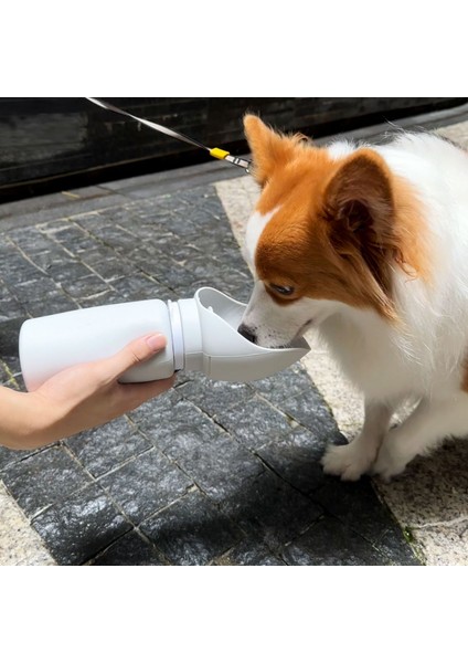 Köpek Açık Su Bardağı Pet Taşınabilir Katlanabilir Içme Çeşmesi (Yurt Dışından)