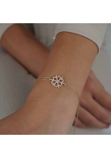 Kar Tanesi fiyatları