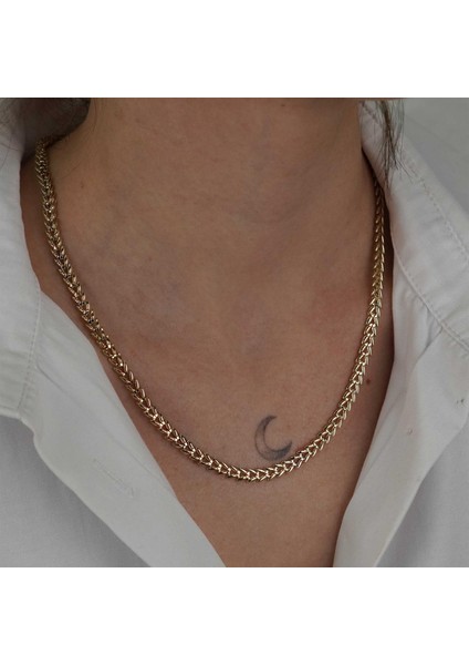 Başak Zincir modelleri