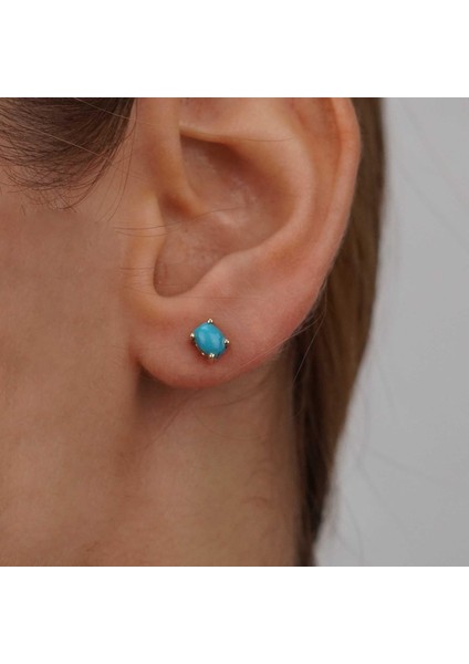 Firuze Küpe fiyatları