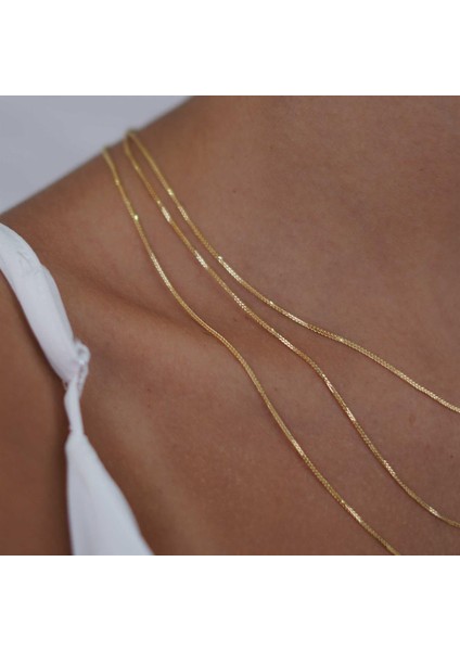 Spike Zincir modelleri