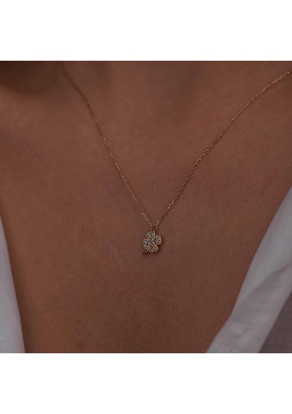 Minimal Yonca fiyatları