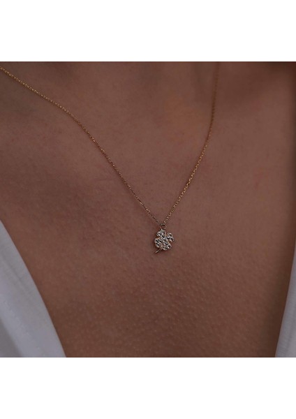 Minimal Yonca modelleri