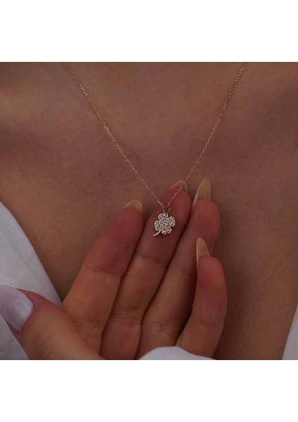 Minimal Yonca fırsatları