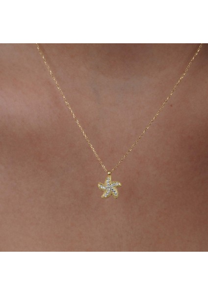 Deniz Yıldızı modelleri