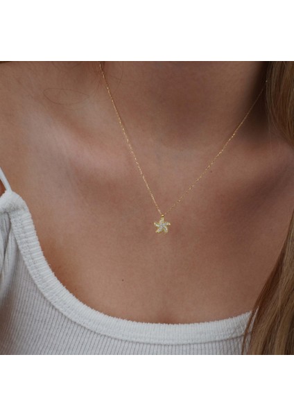 Deniz Yıldızı fırsatları