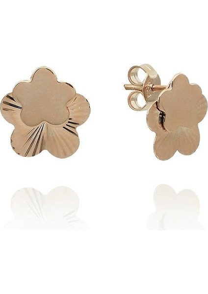 Yıldız Parıltı Küpe